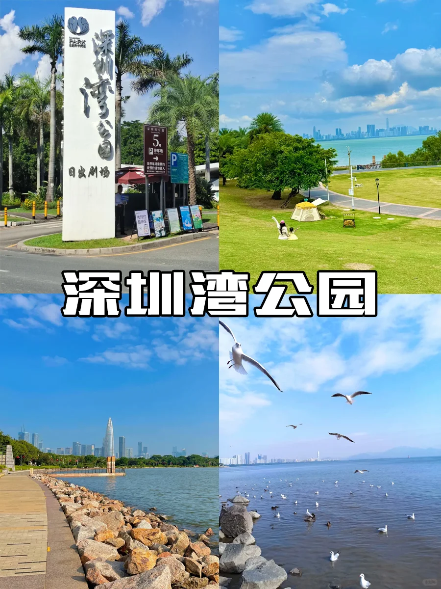 五一来深圳建议⚠️⚠️⚠️千万要听劝。。。