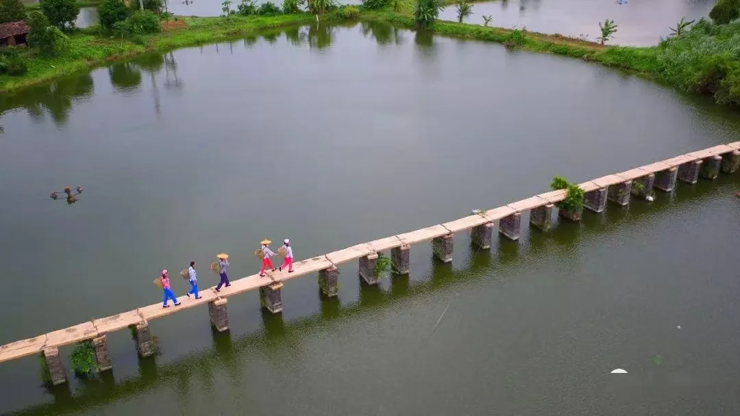 🌿古劳水乡超全旅游攻略