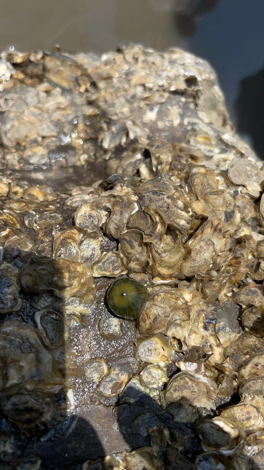 感谢揽月湾景区工作人员帮娃找回丢失的水杯