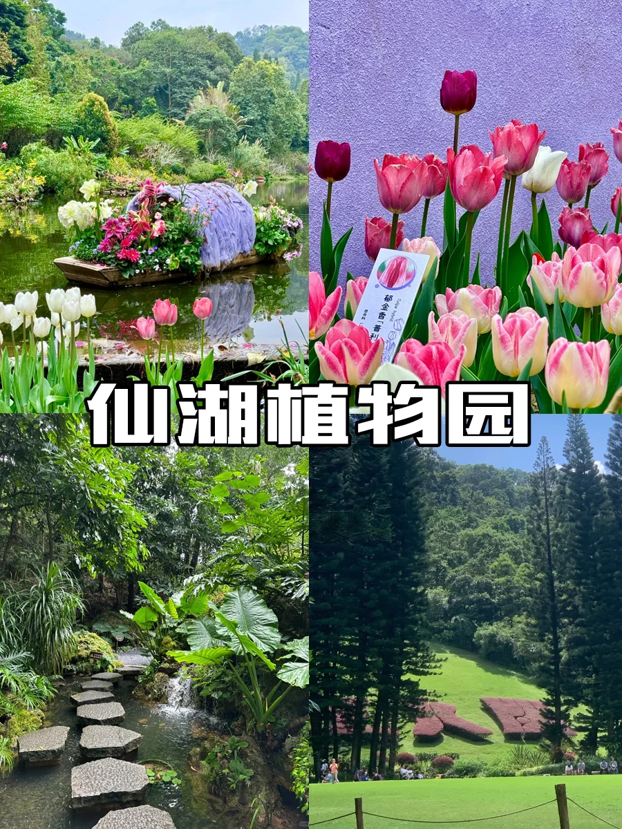 五一来深圳建议⚠️⚠️⚠️千万要听劝。。。