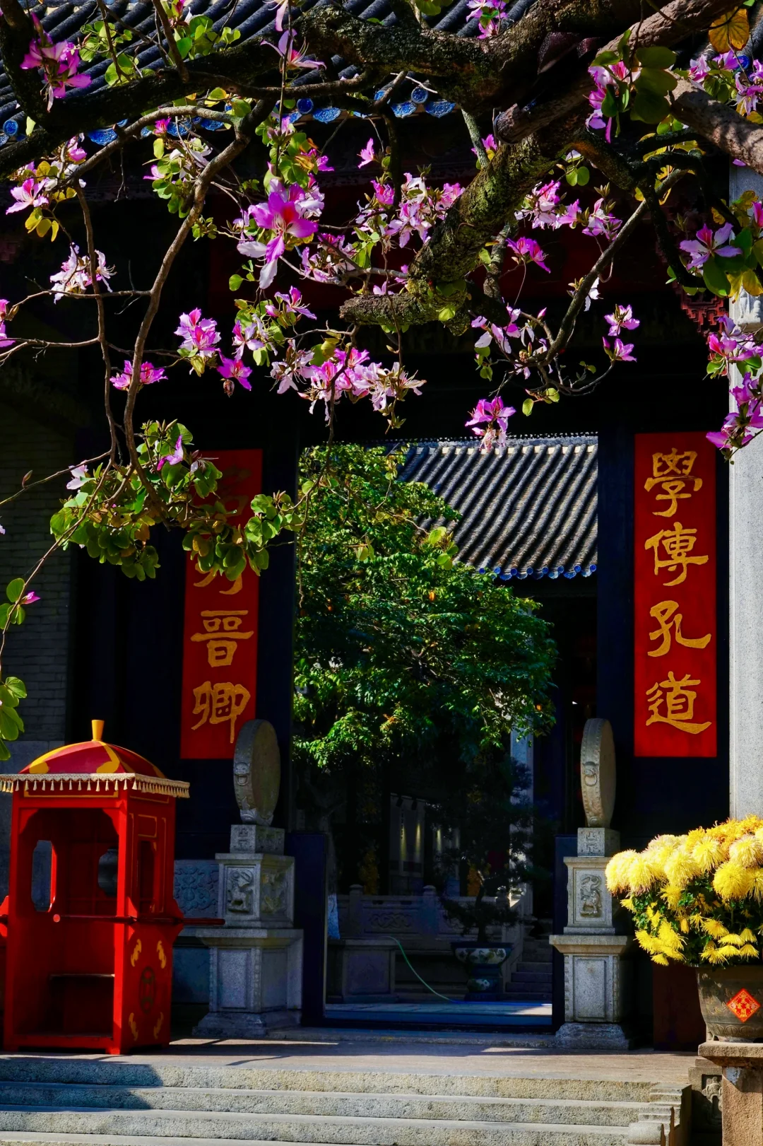 不是苏州,在广州‼️蕞喜欢的岭南园林出现了…