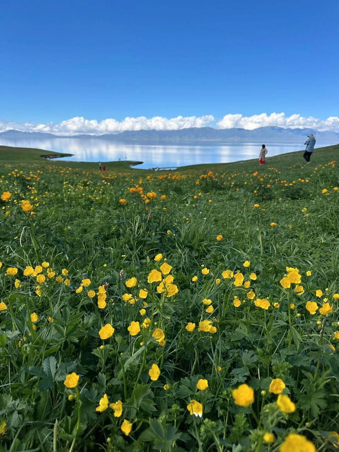 真的不在瑞士,是在五月新疆的小众㊙️境里🥰