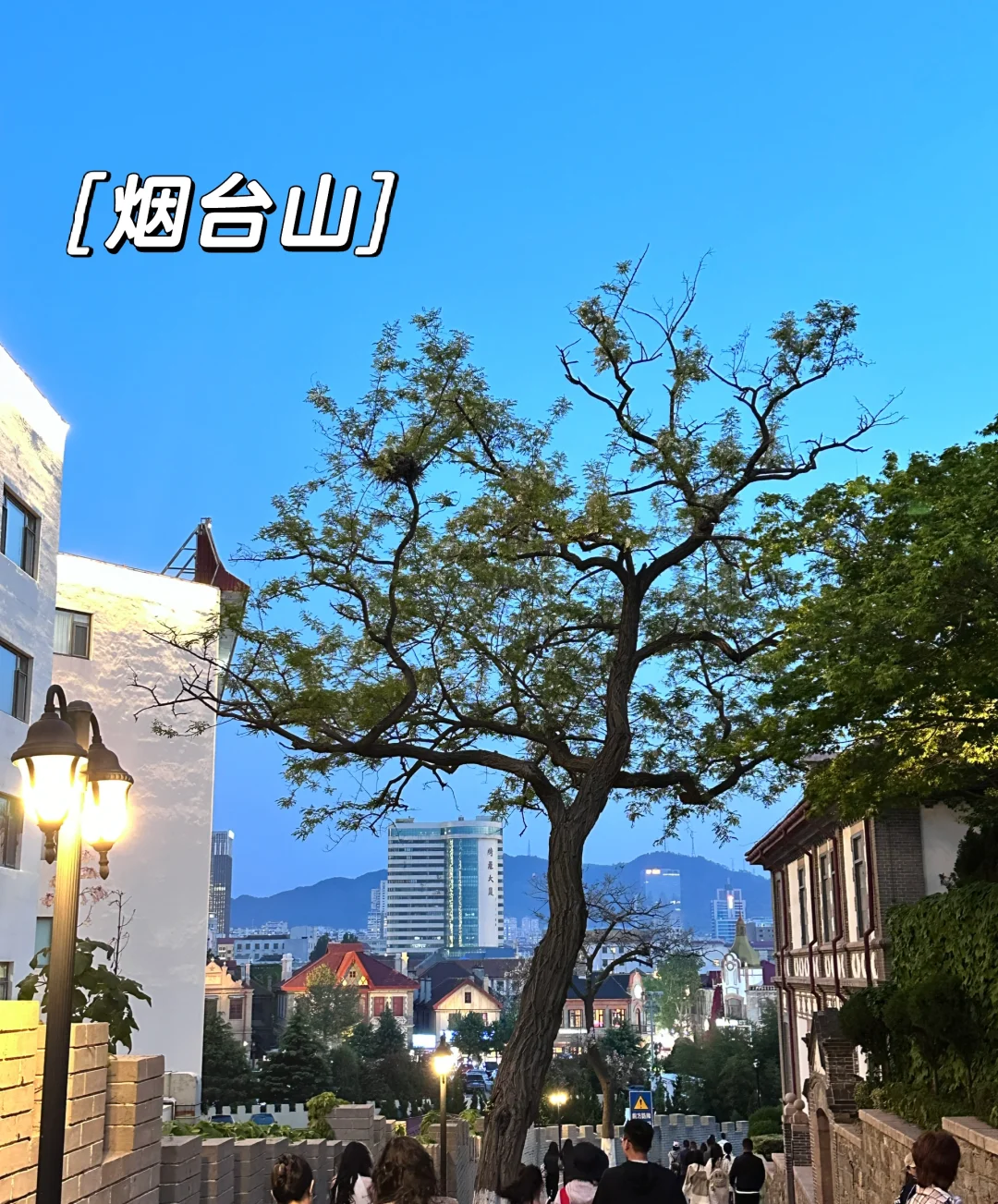 青岛+烟台五天五晚节假日出游 超全指南🗺️