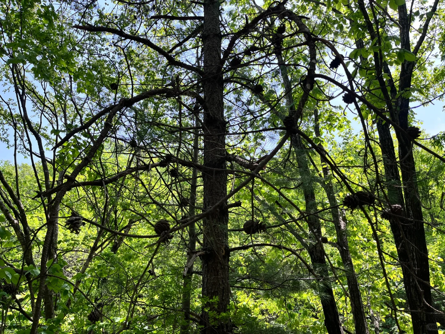 五一出行发现一个小众景点