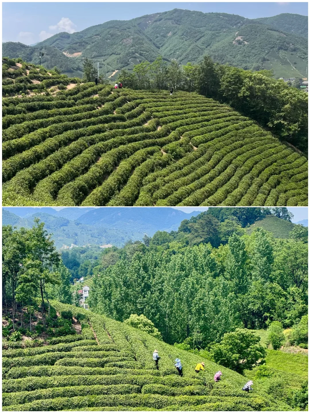 五一避开人挤人，和闺蜜一起去4个小众城市