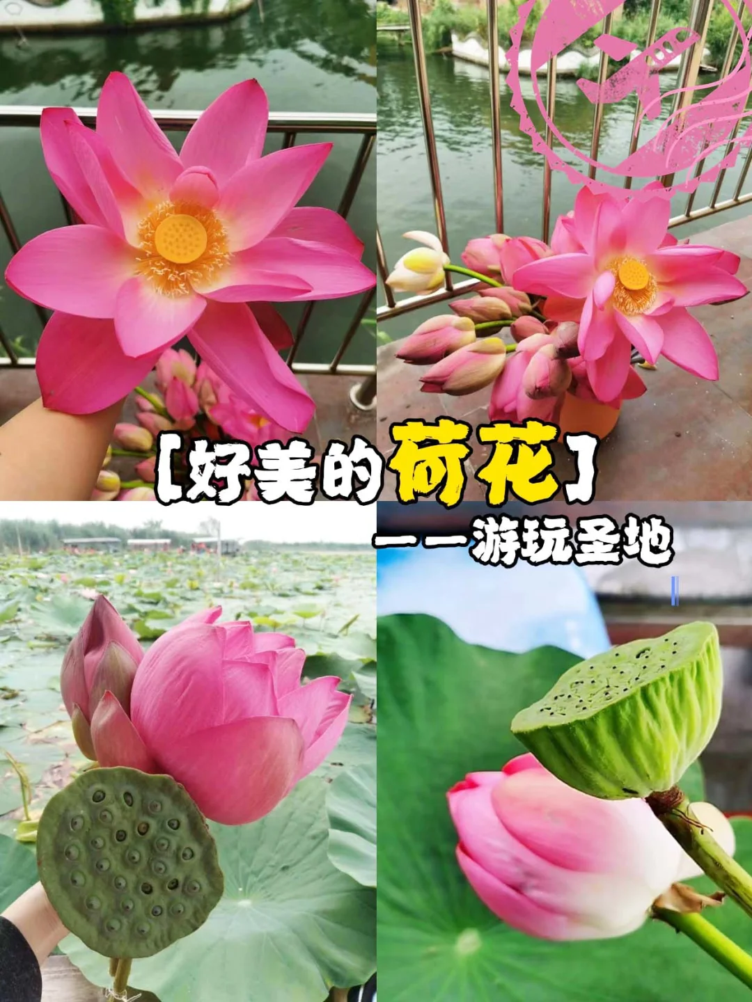 周边游❗这个宝藏农家院吃、住、玩花钱少