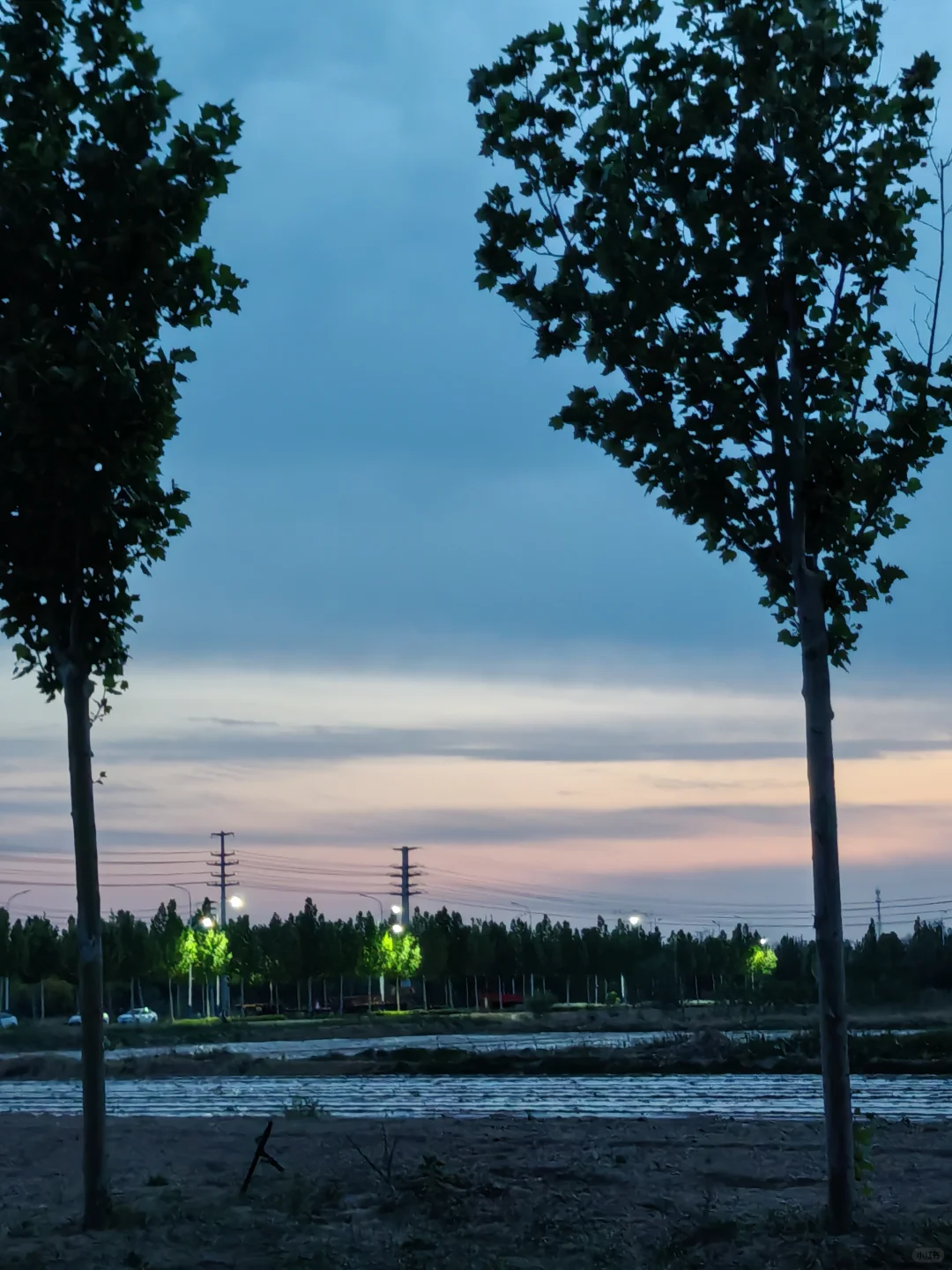 🌳 清风湖公园旅游攻略