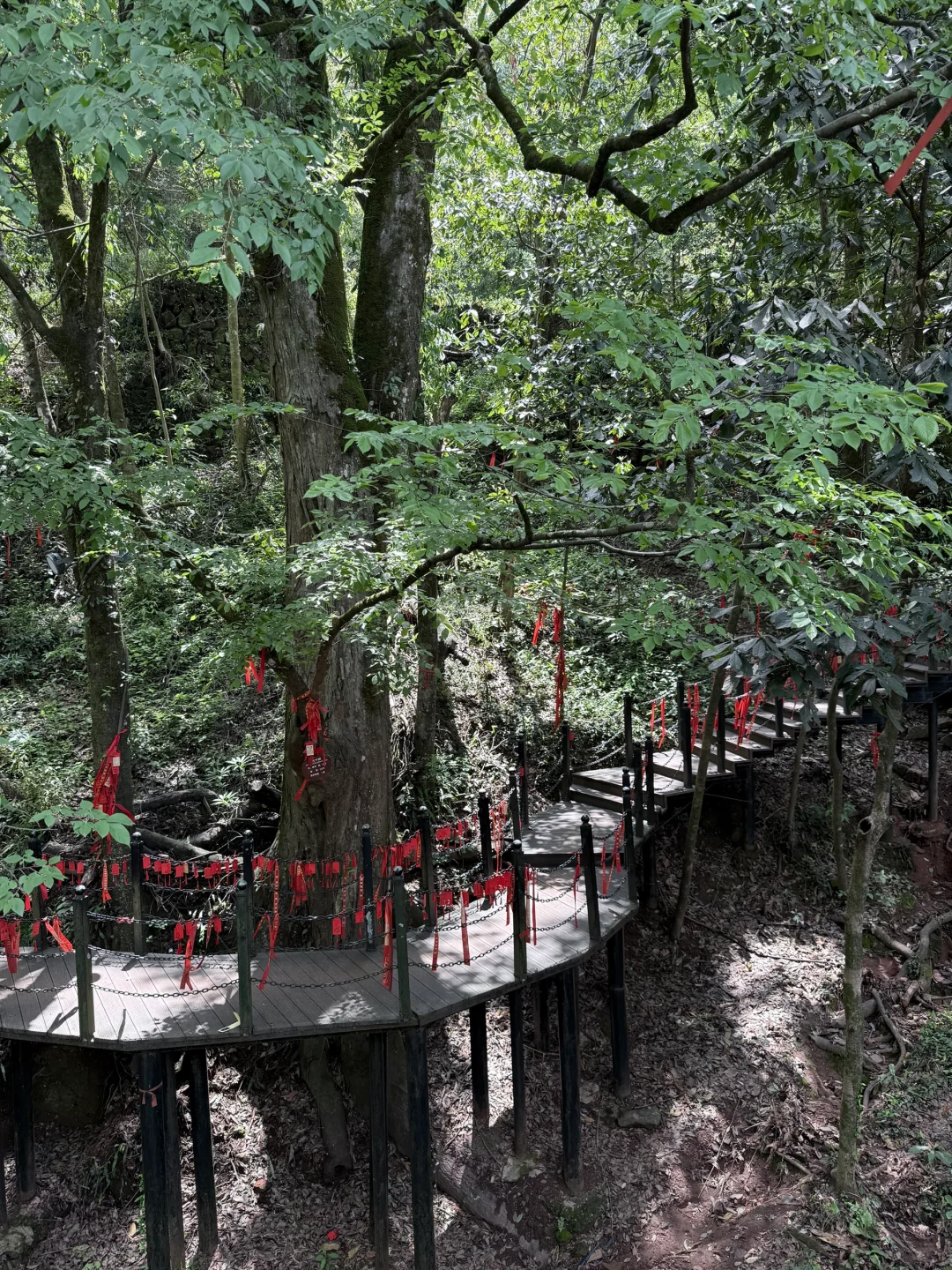 爬过众多名山 偏爱《剑来》提到的这座齐云山