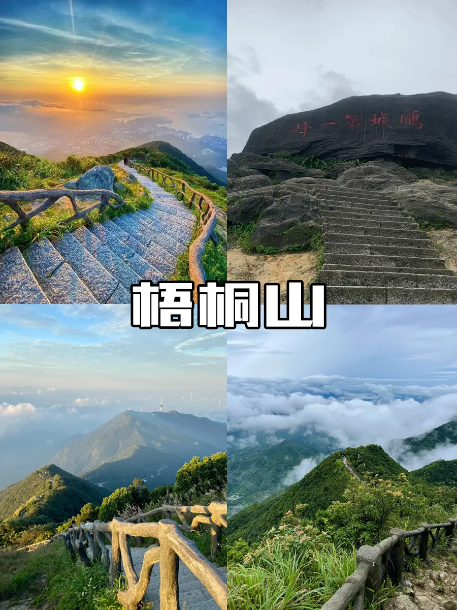 五一来深圳建议⚠️⚠️⚠️千万要听劝。。。