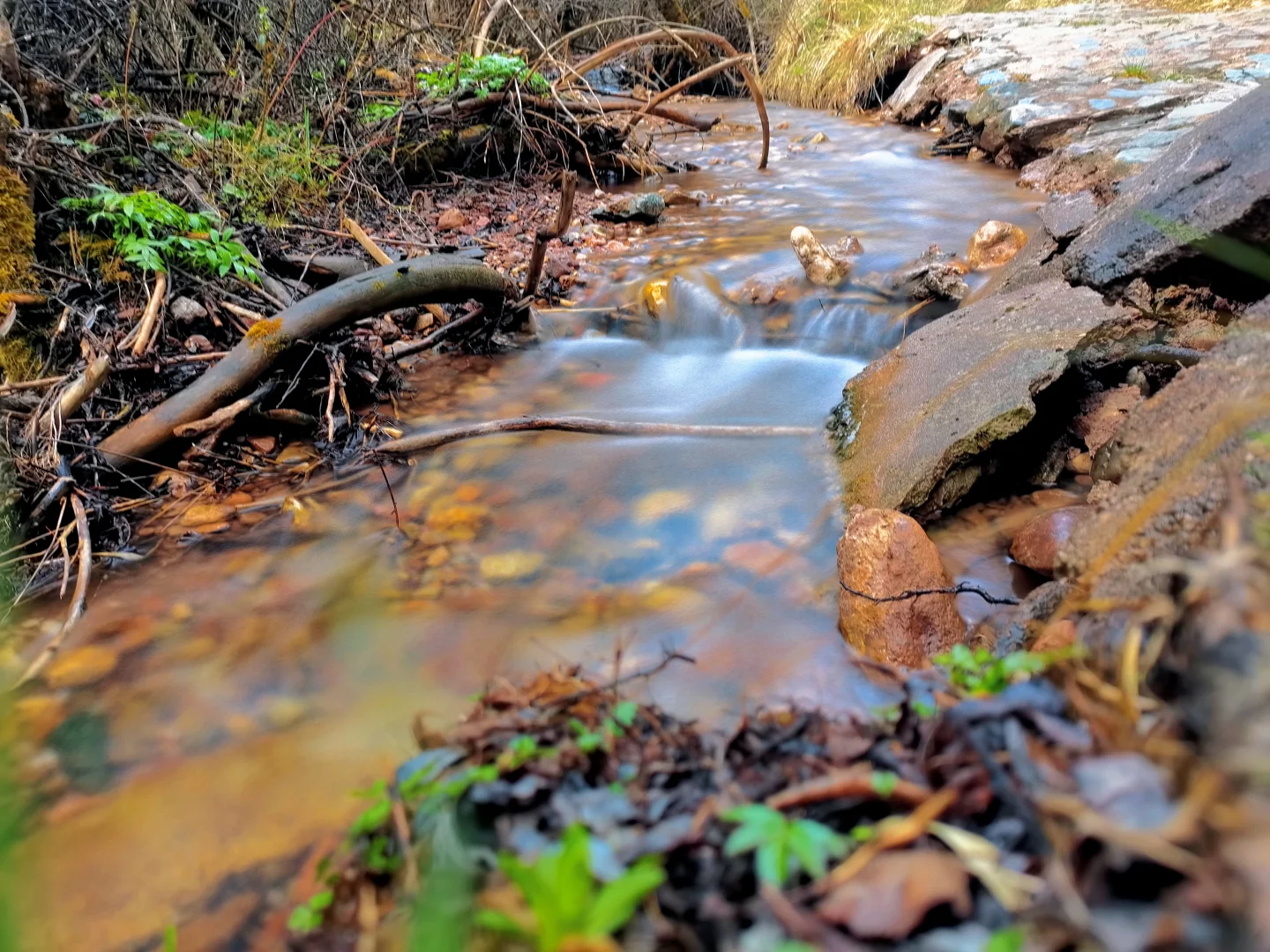 ❄️五月飞雪探秘记 | 渭源天井峡
