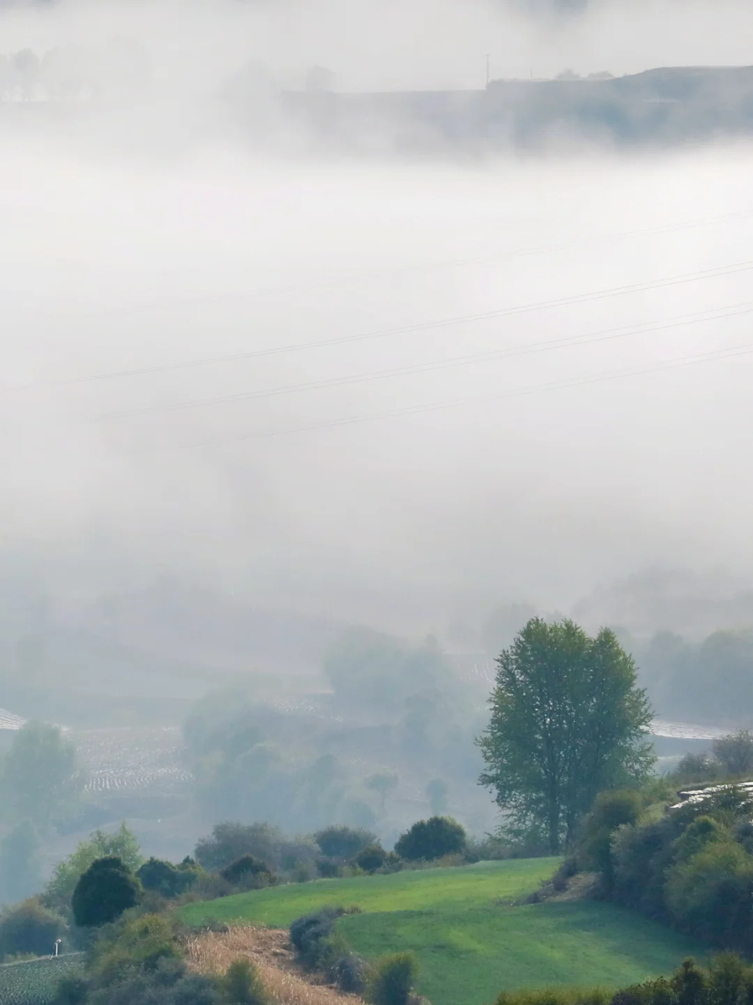 ❄️五月飞雪探秘记 | 渭源天井峡
