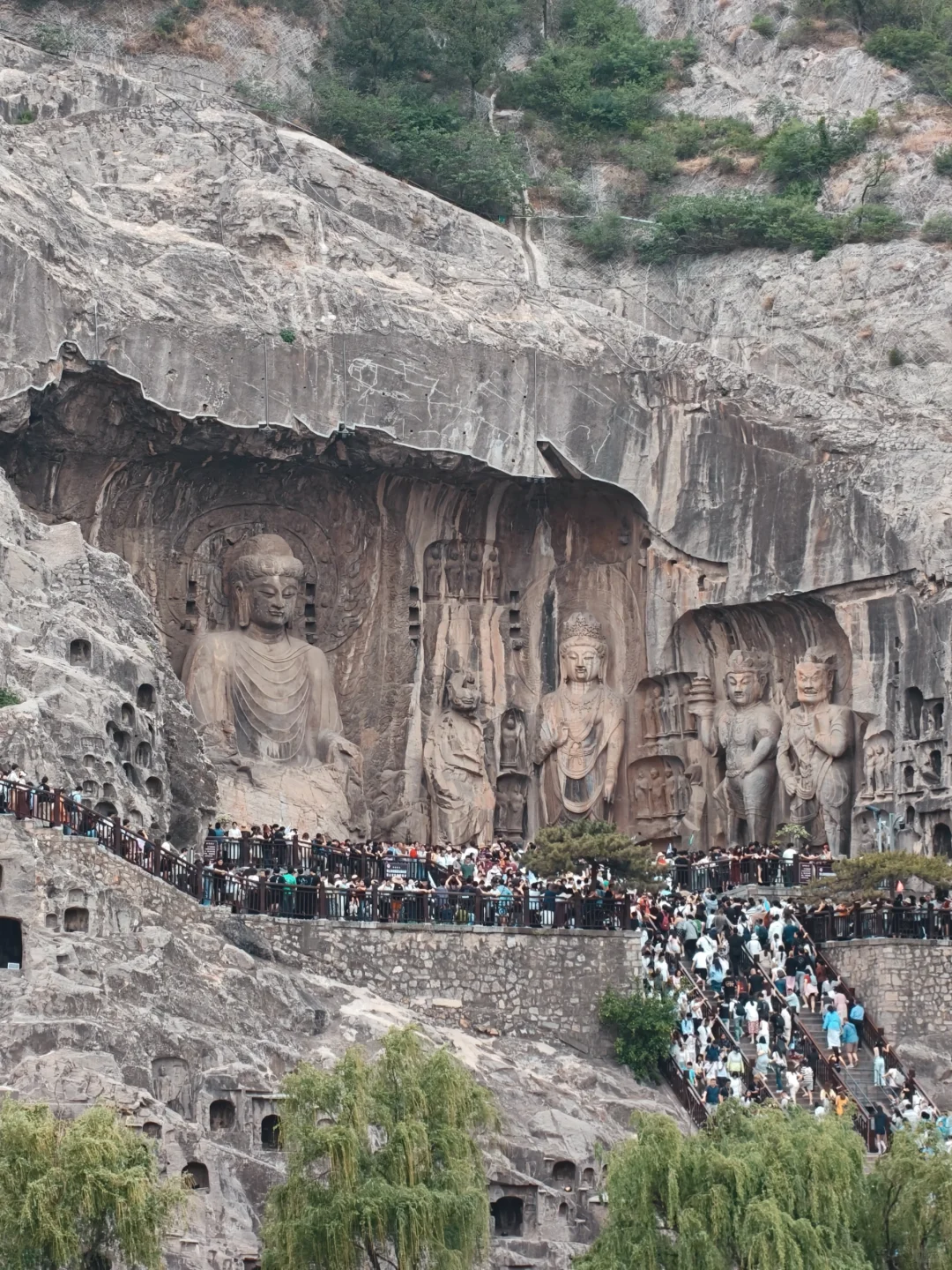 5.2实况，今天的龙门石窟🈶十万人！