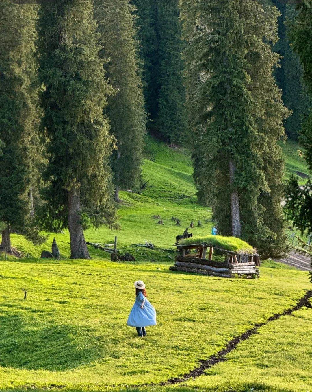 答应我❗这辈子一定不要放弃去新疆🐮🐑