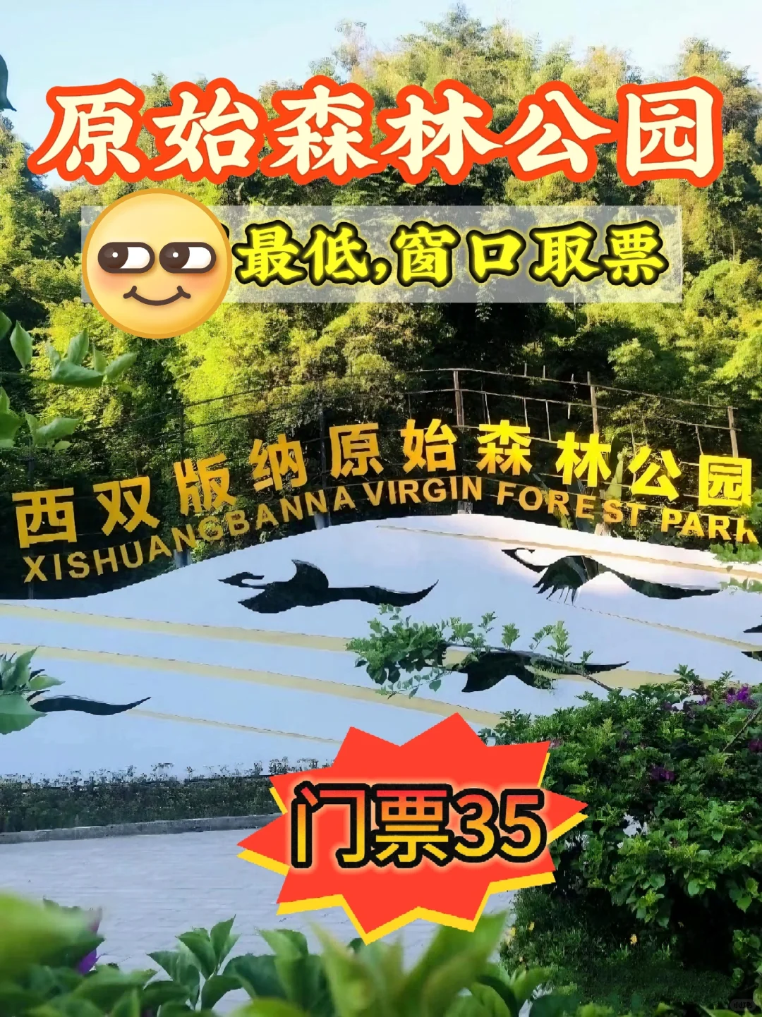 原始森林公园时间攻略景区门票