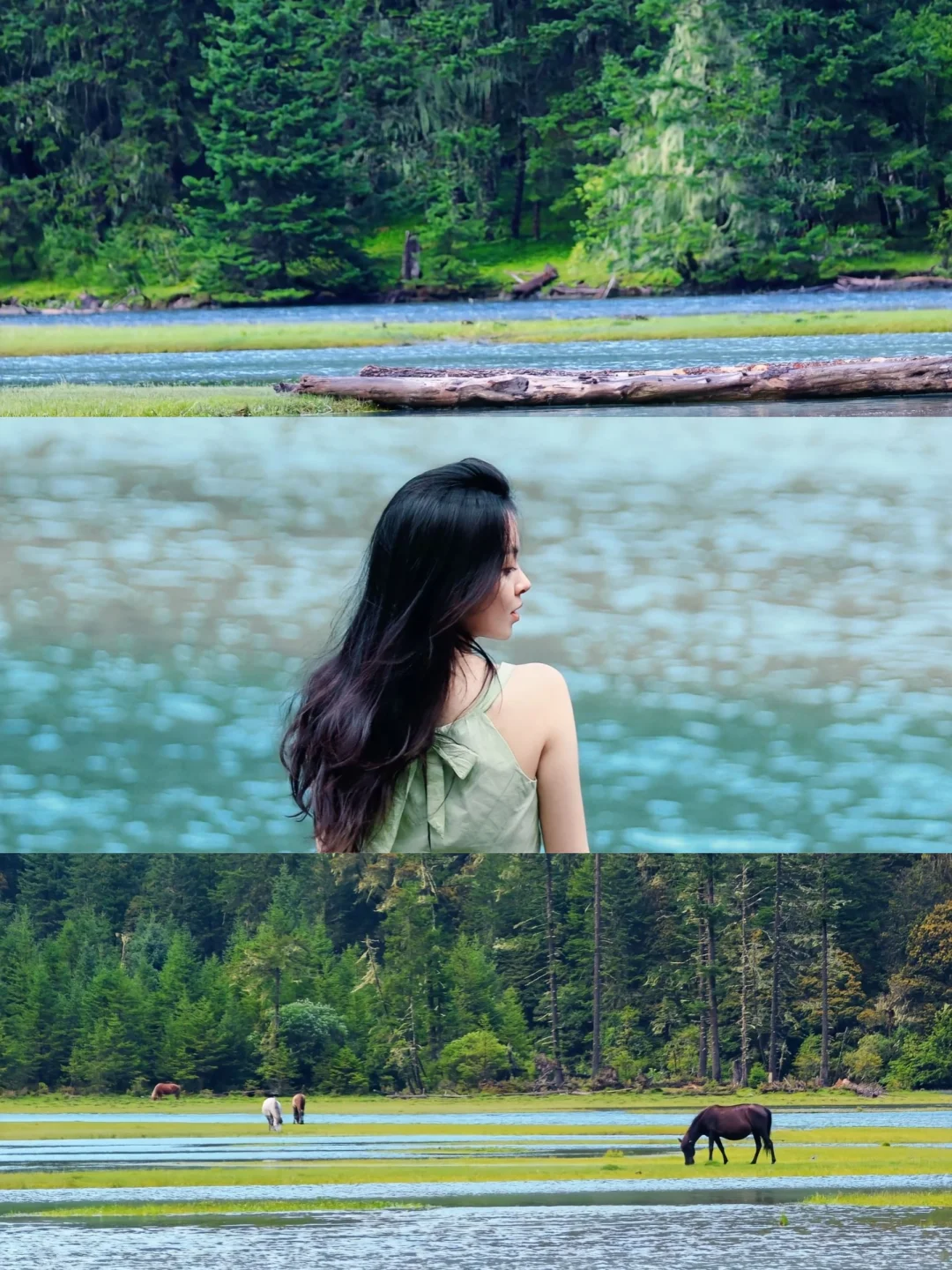 4天川西怎么玩🔥应季路线不废腚✅