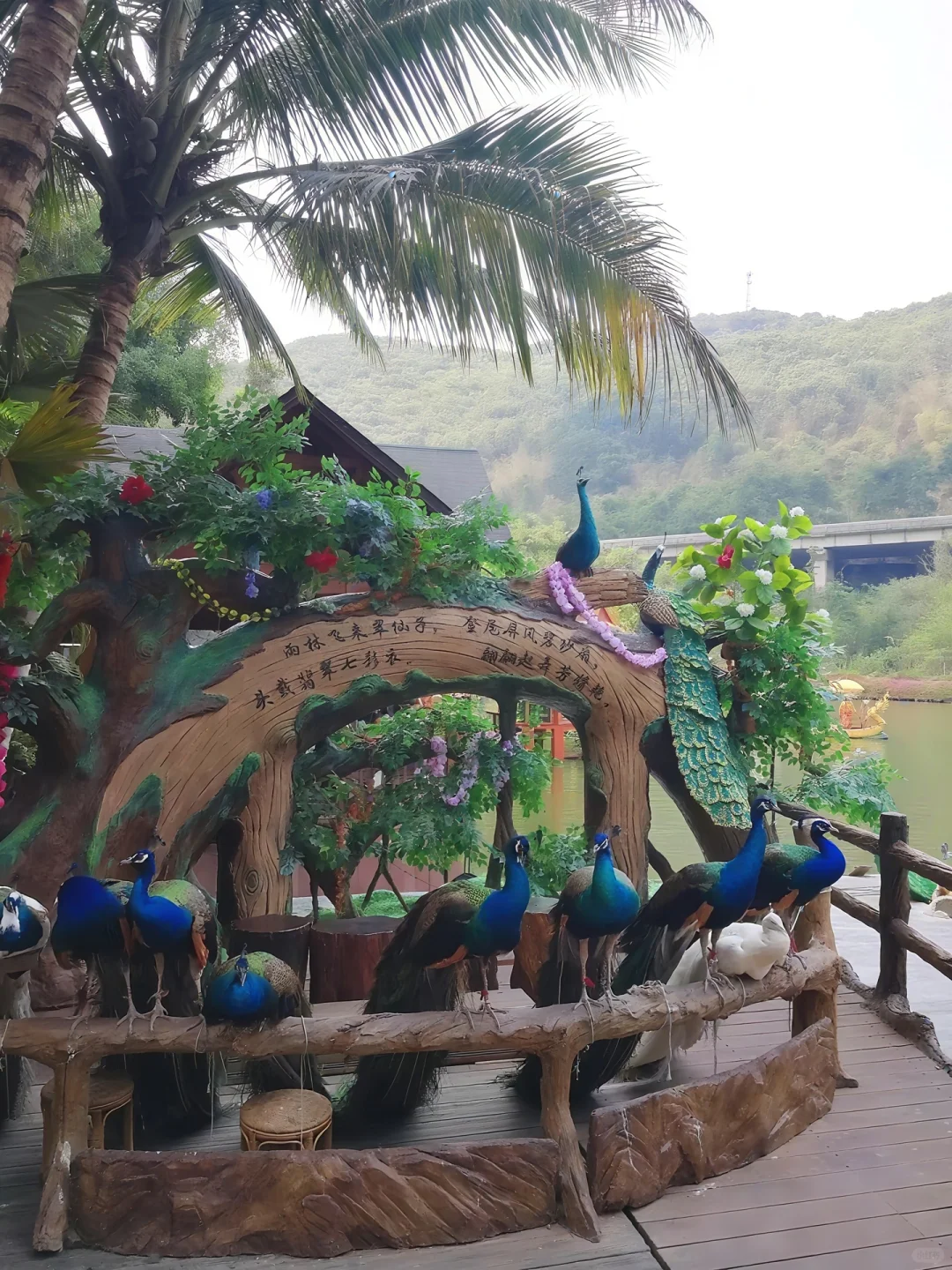 原始森林公园时间攻略景区门票