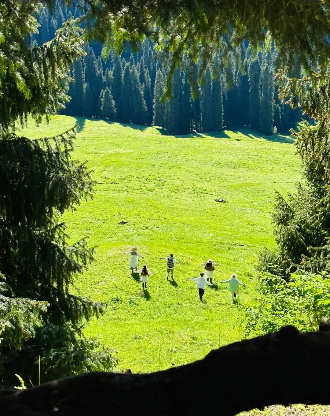 答应我❗这辈子一定不要放弃去新疆🐮🐑