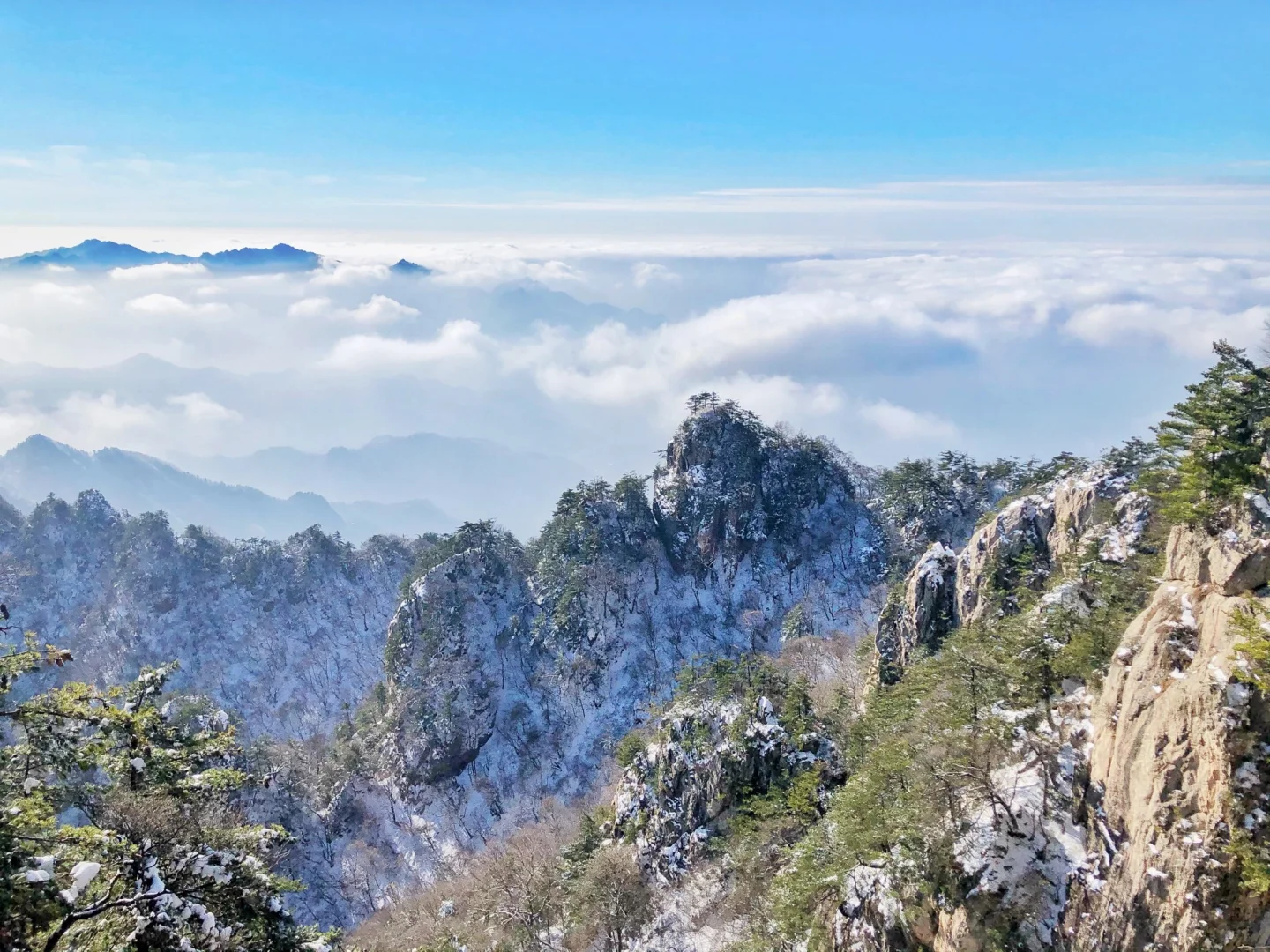 冬季的老君山太美了！