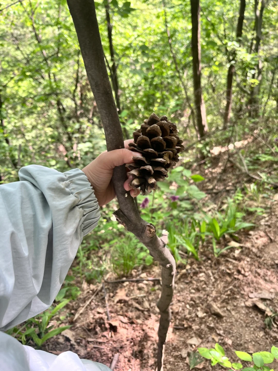 五一出行发现一个小众景点