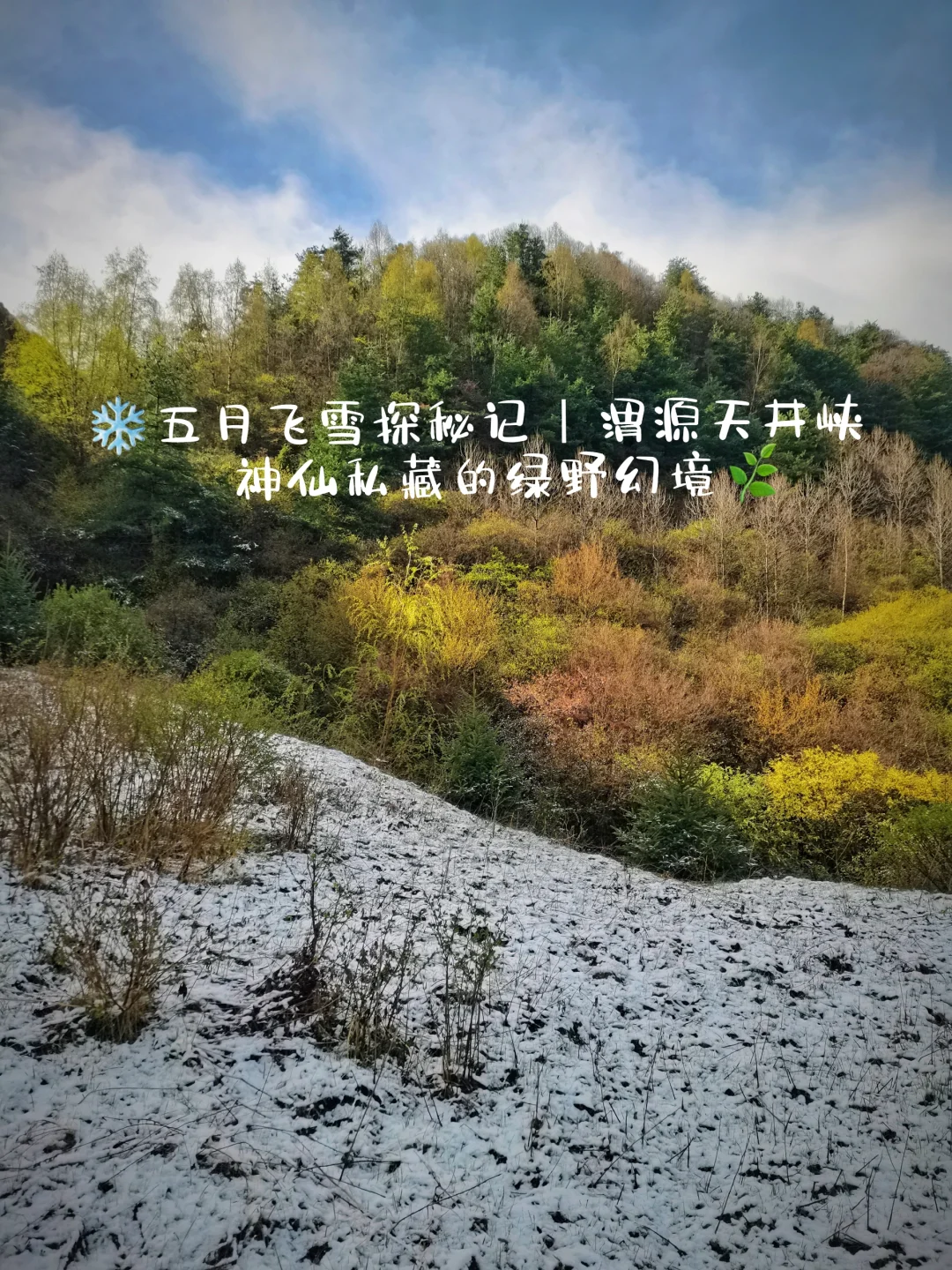 ❄️五月飞雪探秘记 | 渭源天井峡
