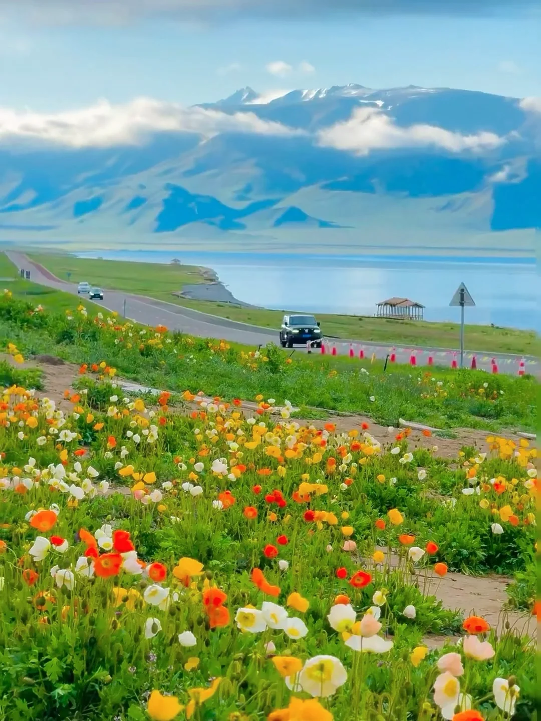 真的不在瑞士,是在五月新疆的小众㊙️境里🥰