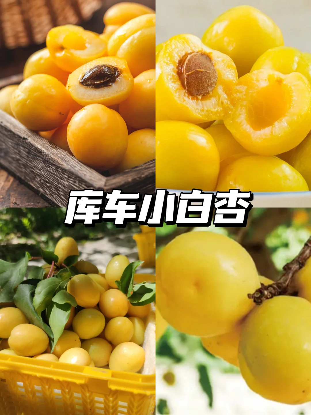 🔥阿克苏旅游攻略｜9县市35个景点！