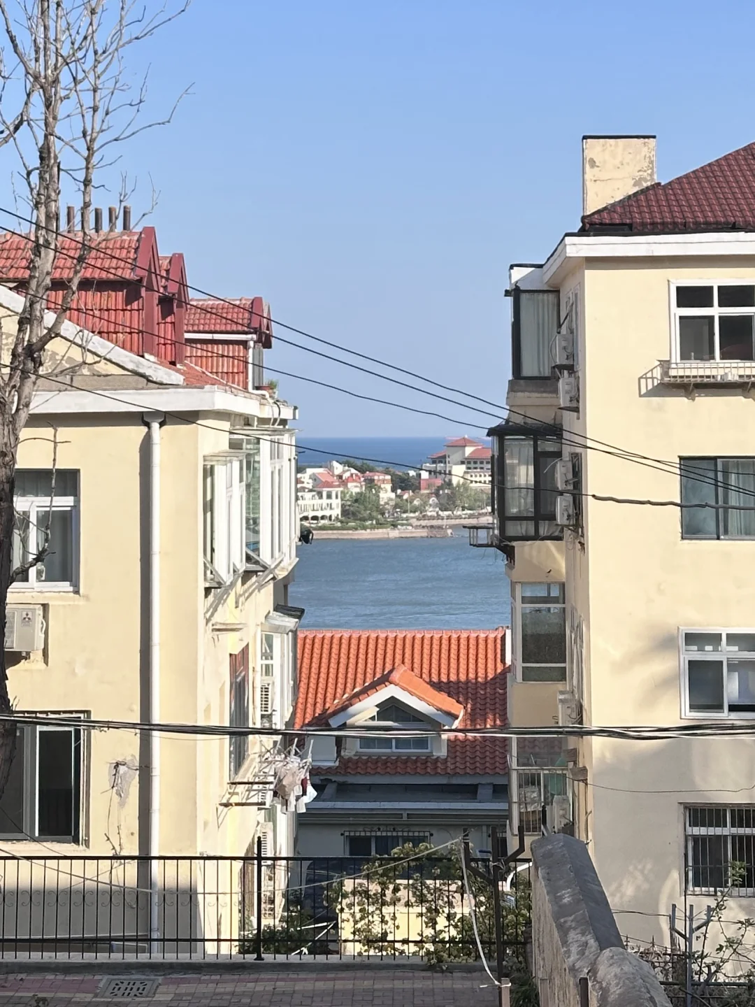 青岛+烟台五天五晚节假日出游 超全指南🗺️