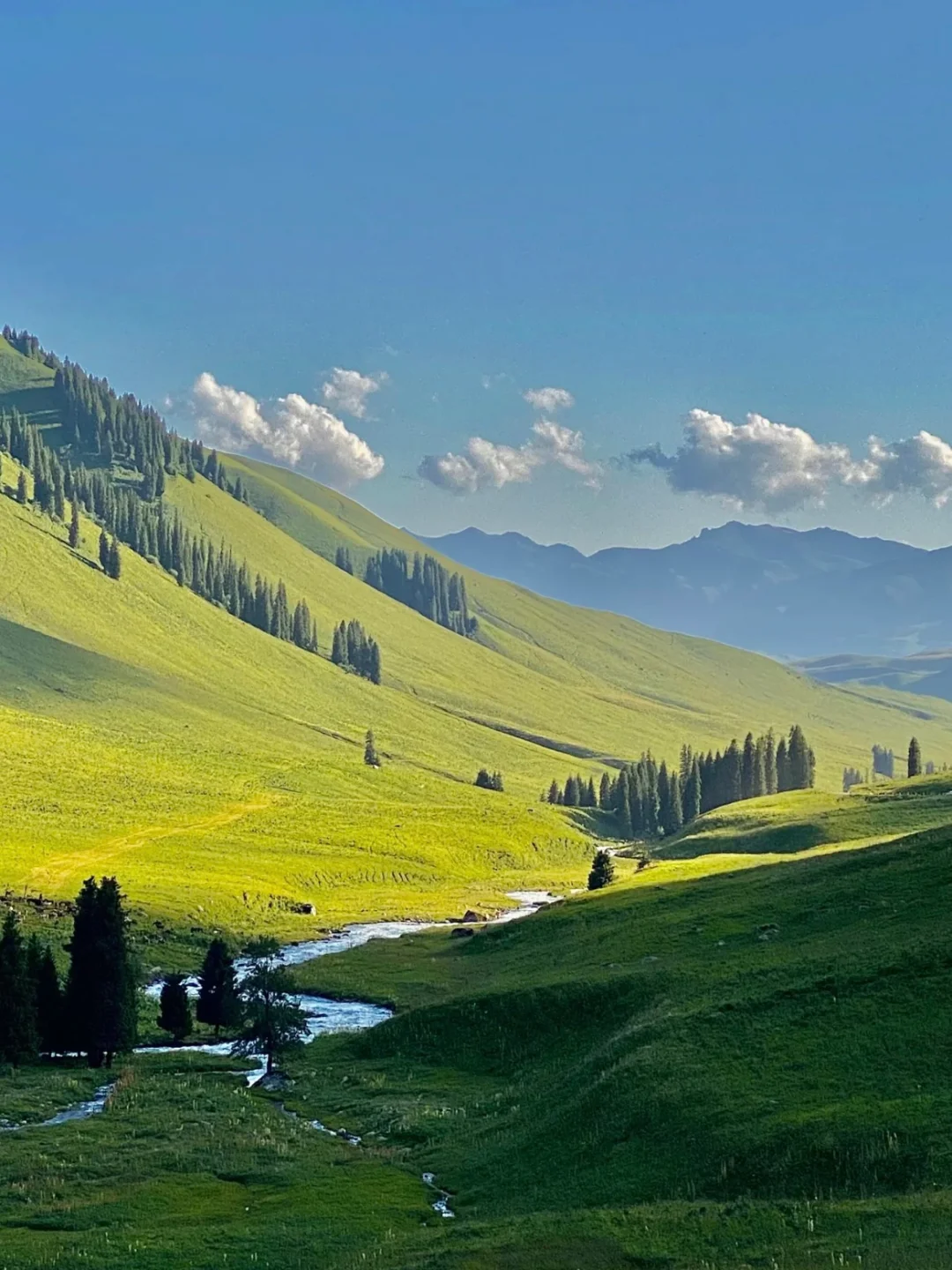 在内蒙古！！果然好看的地方都是免费的……