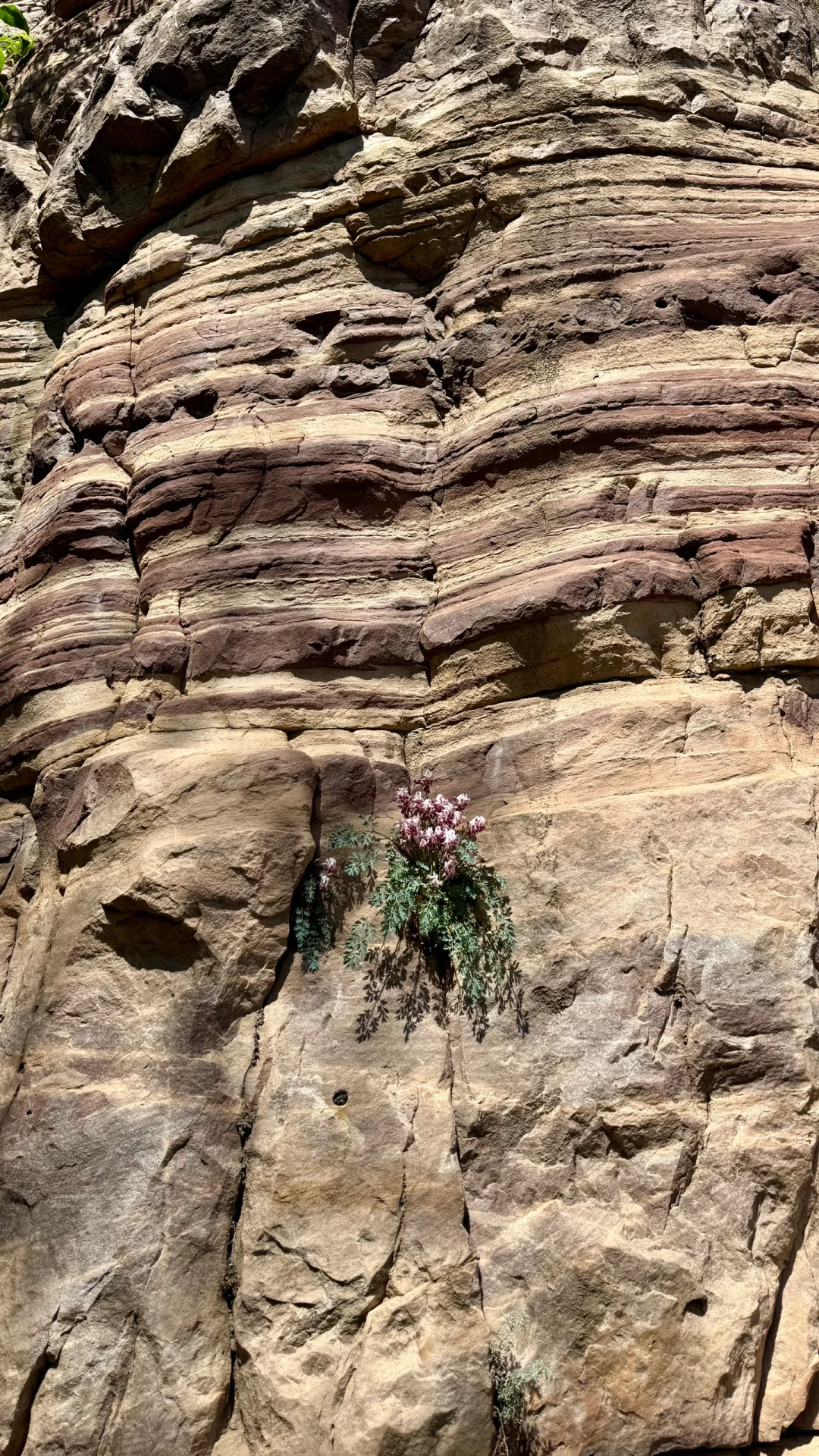 五一自驾东太行