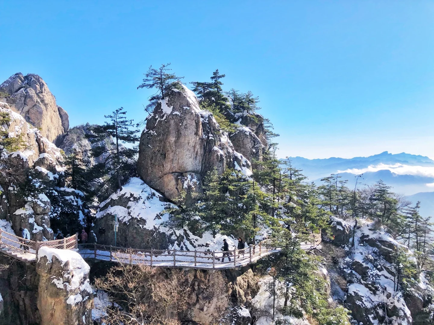 冬季的老君山太美了！