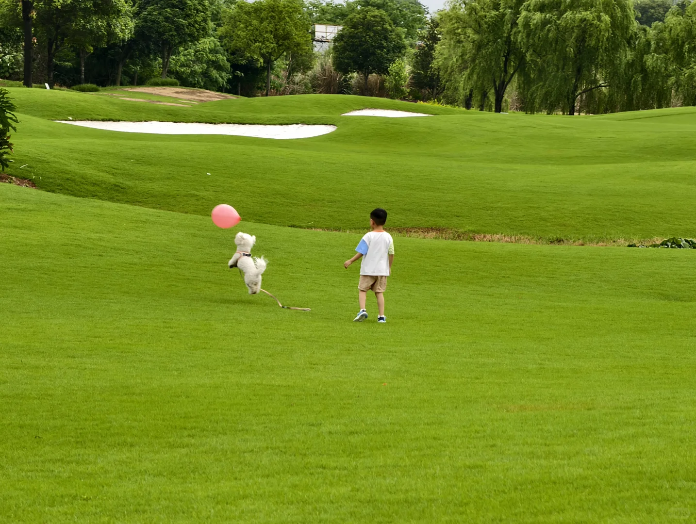 这里不是瑞士,不是新西兰,这里是桂海晴岚