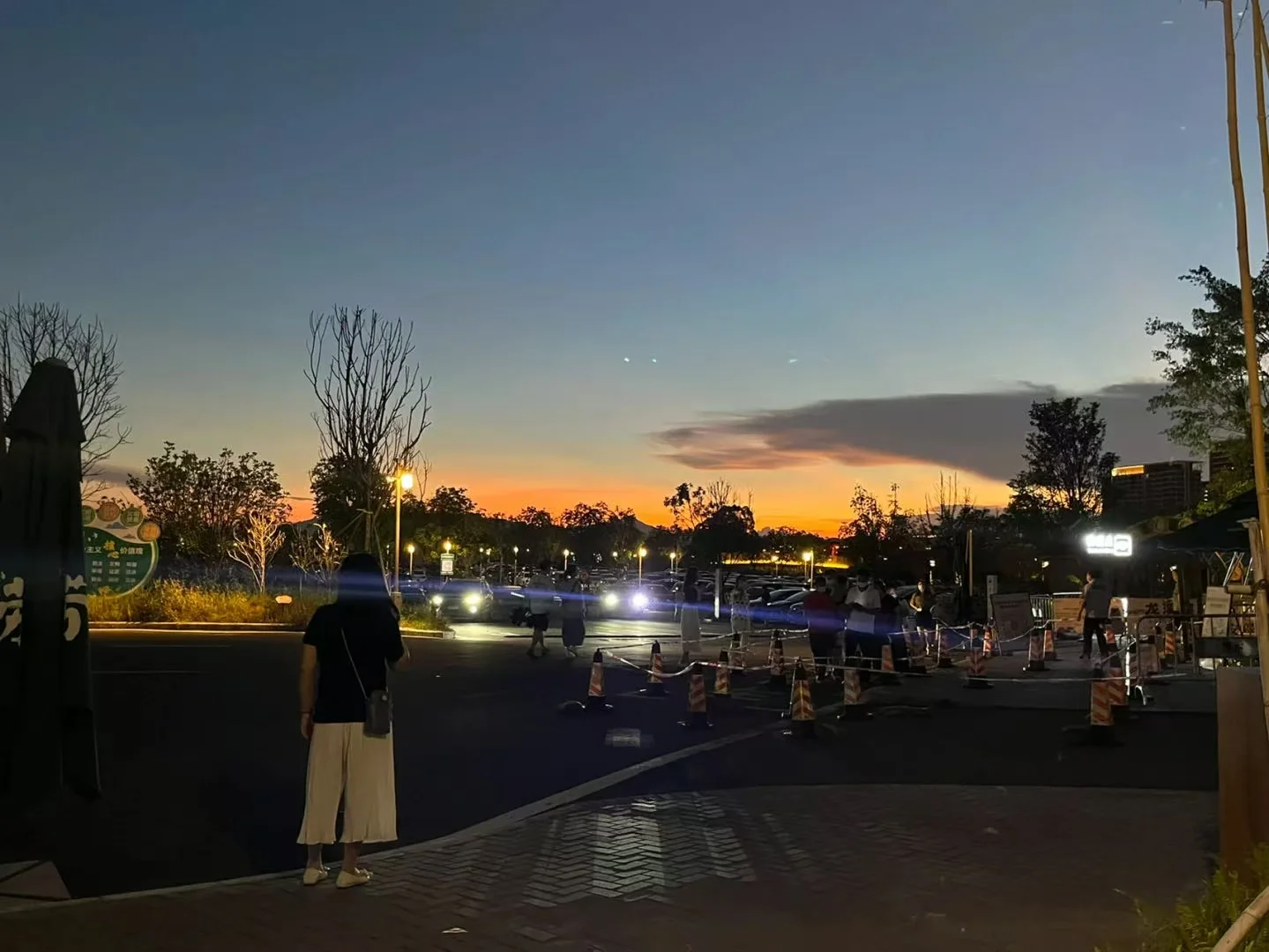 🌿古劳水乡超全旅游攻略