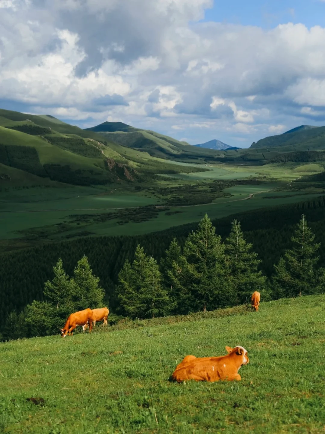 在内蒙古！！果然好看的地方都是免费的……