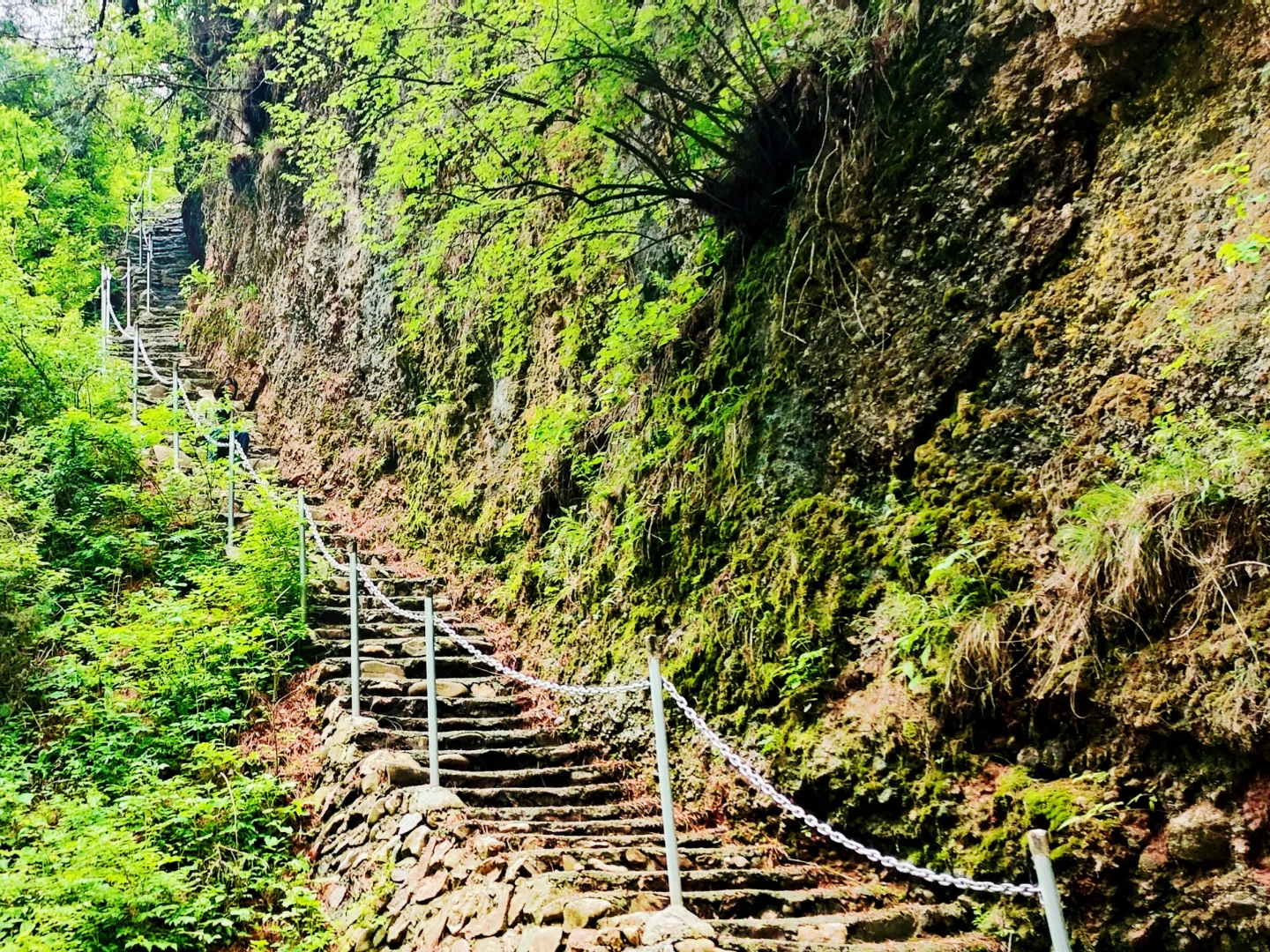 ❄️五月飞雪探秘记 | 渭源天井峡