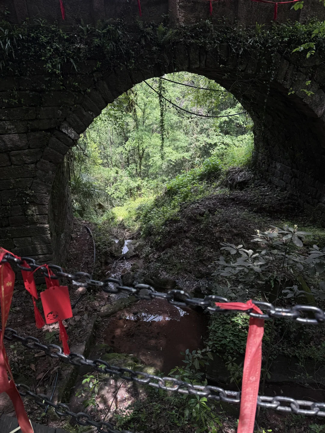 爬过众多名山 偏爱《剑来》提到的这座齐云山