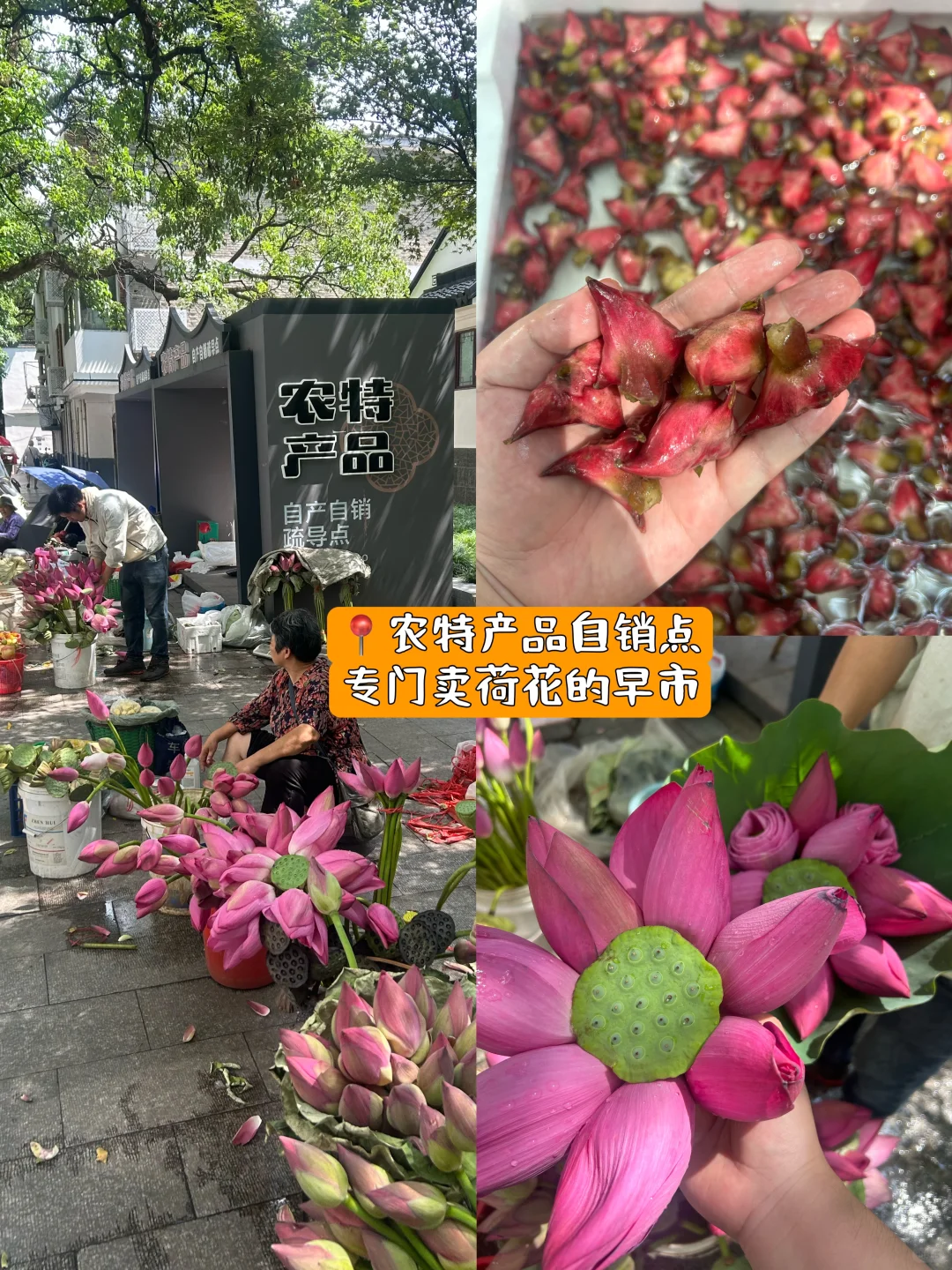 苏州省时省力攻略‼️自用路线总结‼️