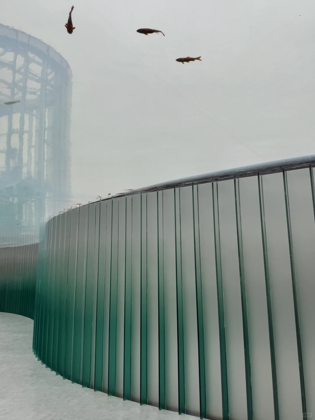 以为海洋馆够美了,直到去了水底森林🌳🫧……