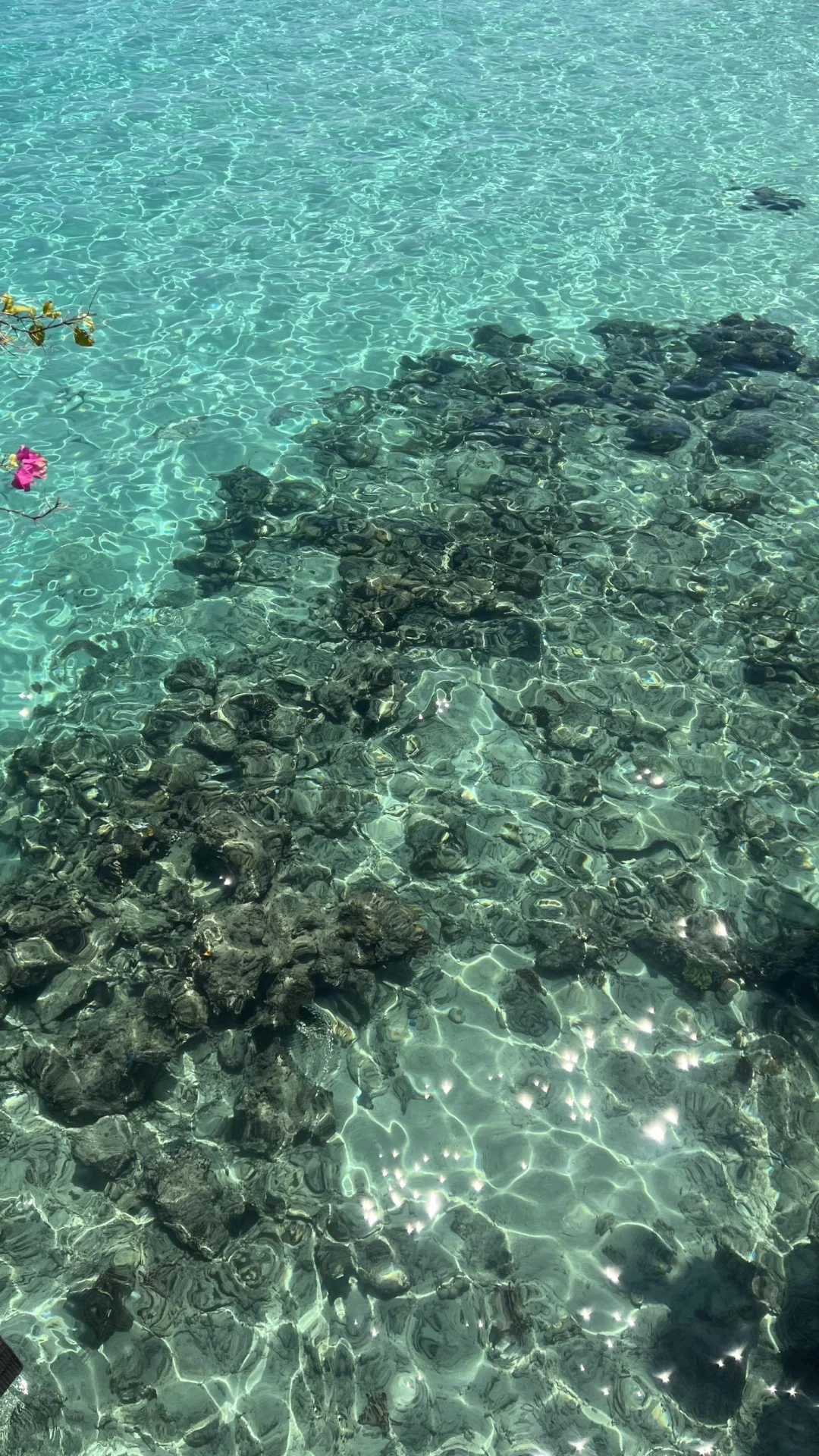 谁懂被自己做的仙本那旅游攻略满意的睡不着