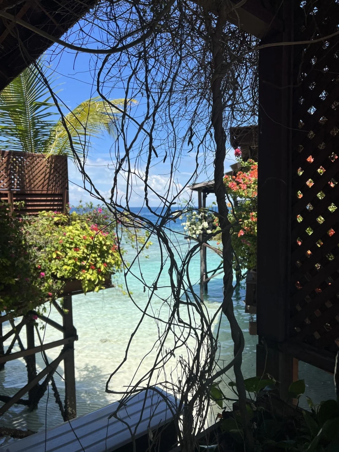 谁懂被自己做的仙本那旅游攻略满意的睡不着