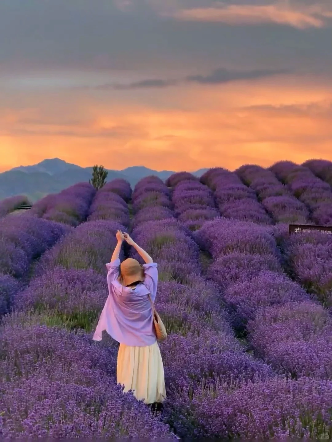 真的不在瑞士,是在五月新疆的小众㊙️境里🥰