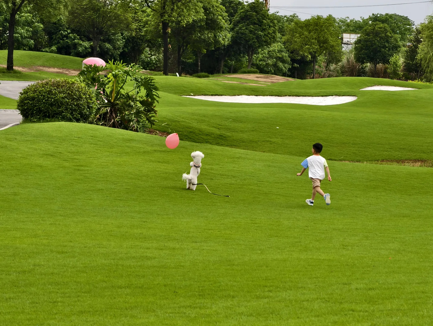 这里不是瑞士,不是新西兰,这里是桂海晴岚