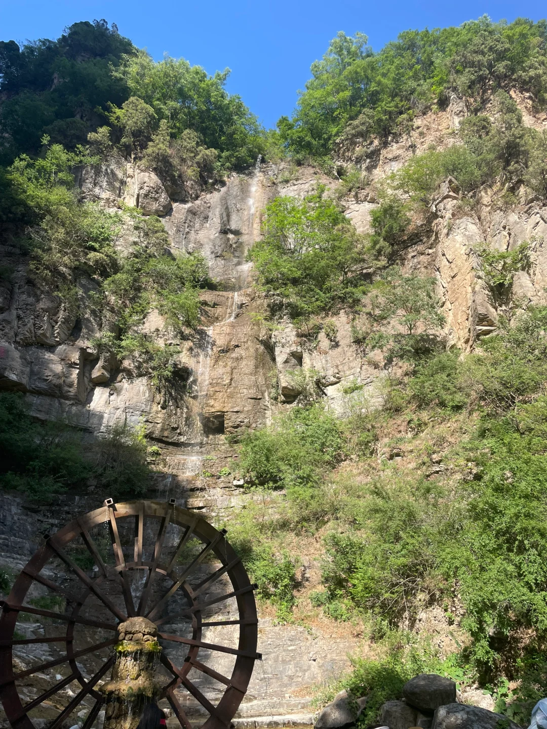 蟒河景区小交通吃相太难看