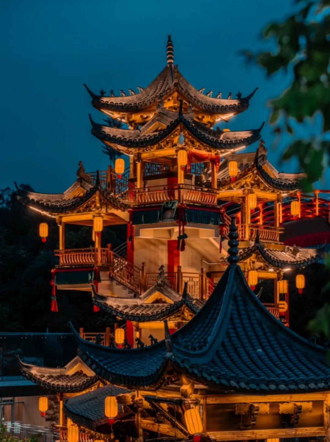 葛仙村真的真的太美啦✨🌻