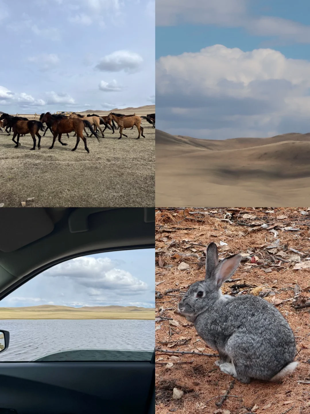 五一旅游体验感最好的一次