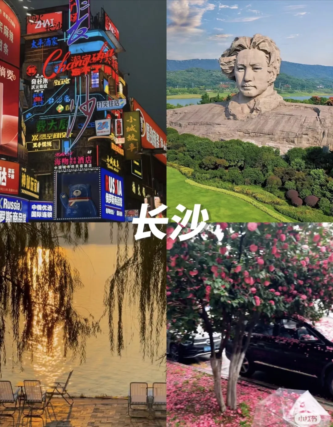 出去玩-保姆级推荐