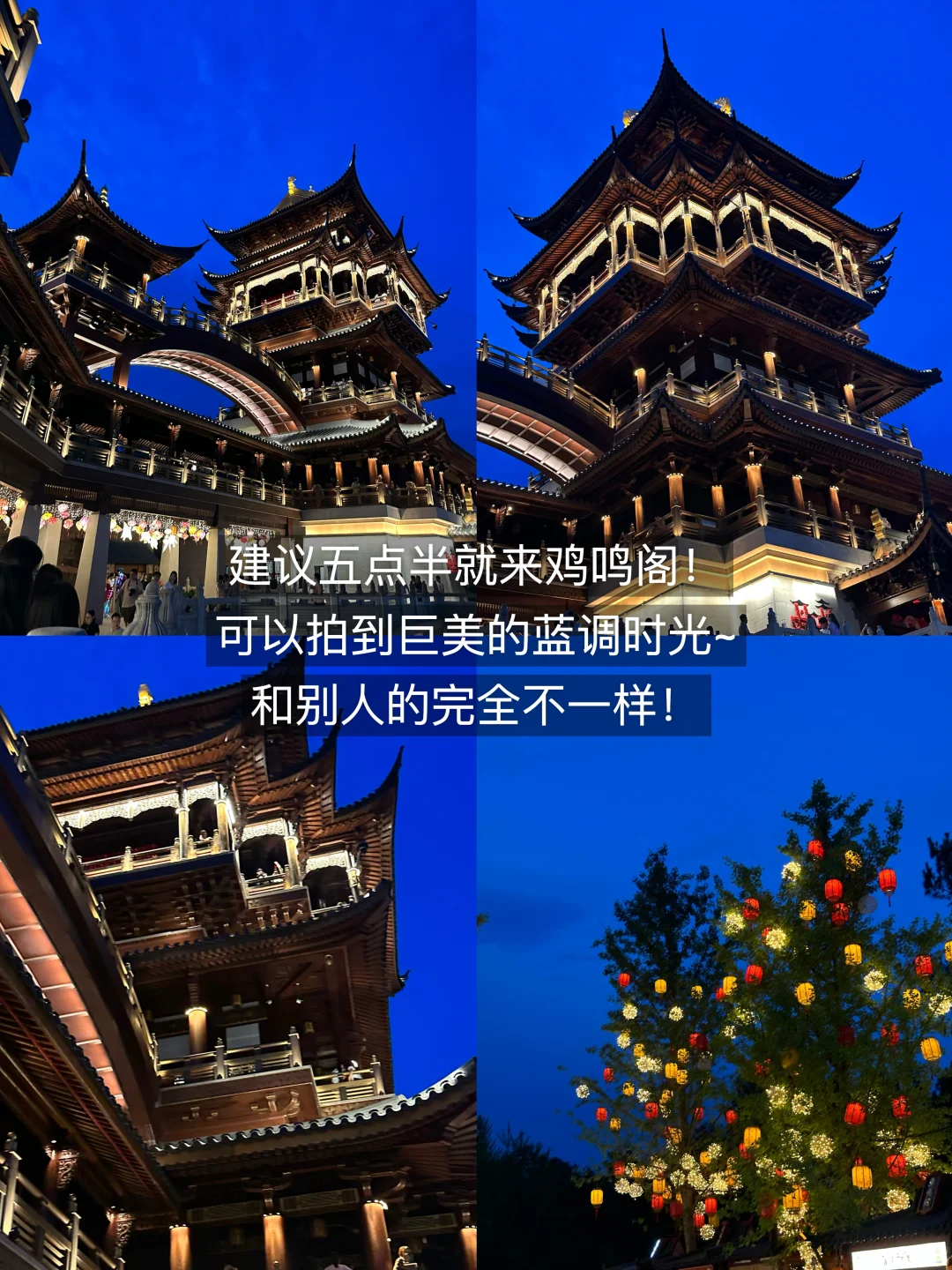 义乌已回！我的建议是。。。