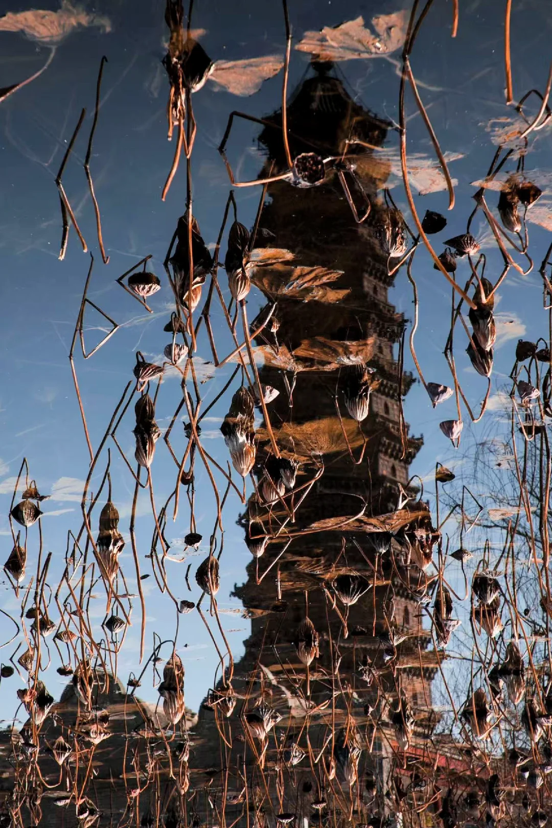 五一人少，清静的铁塔景区