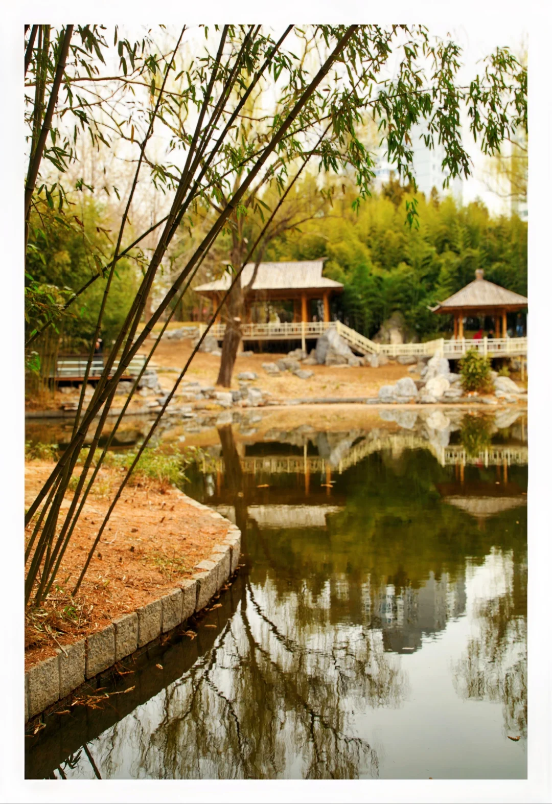 标题：🏕️园林湖畔，静享悠闲慢时光正文：