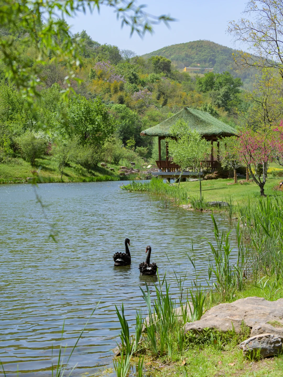 牛首山整个五月都可以瞻礼舍利，你们知道吗？