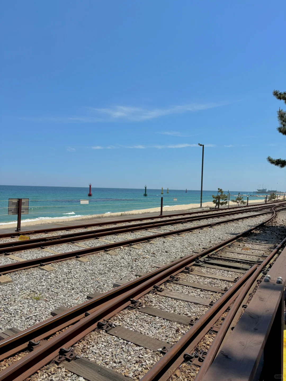 🌊江陵超全旅游攻略｜韩剧同款海边~